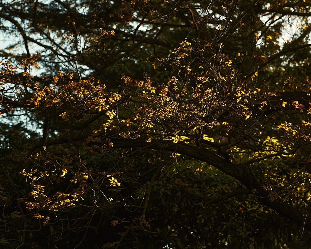 77772_StC_TraianosPakioufakis_0557-1200x800-1-1000x800